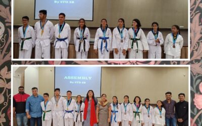 Taekwondo – The martial Arts